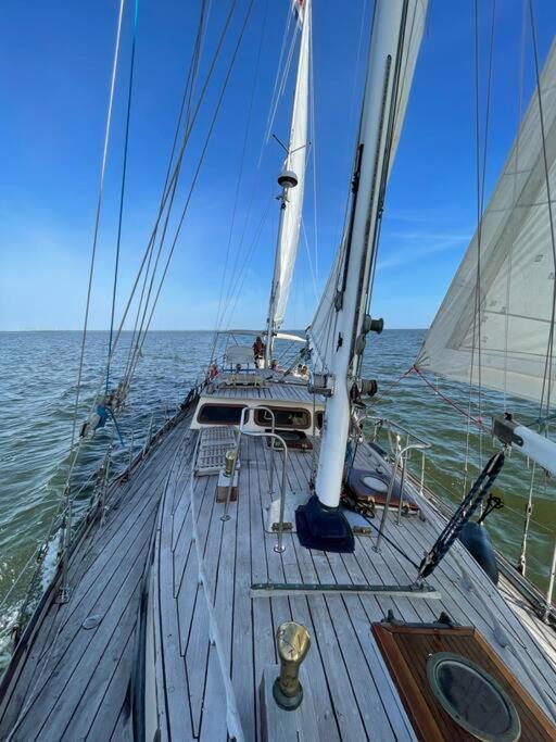 Classic Sailing Ship In Center Of Enkhuizen! المظهر الخارجي الصورة