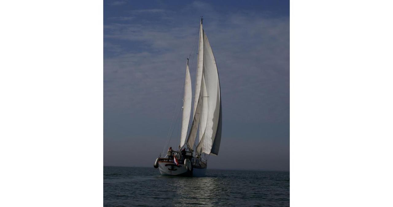 Classic Sailing Ship In Center Of Enkhuizen! المظهر الخارجي الصورة